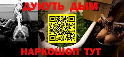 альфа пвп Владикавказ