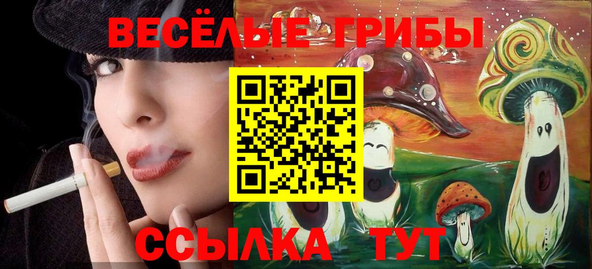 Верхняя Пышма  Псилоцибиновые грибы мухоморы  Вход с VPN 