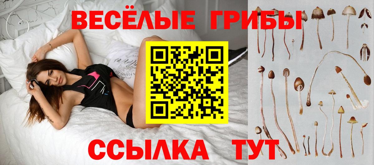 Псилоцибиновые грибы мицелий Верхняя Пышма