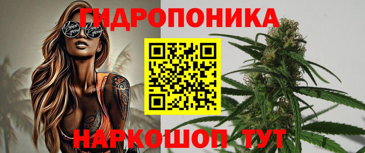 Бошки марихуана марихуана Верхняя Пышма